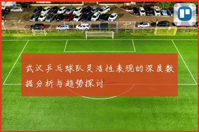 武汉乒乓球队灵活性表现的深度数据分析与趋势探讨