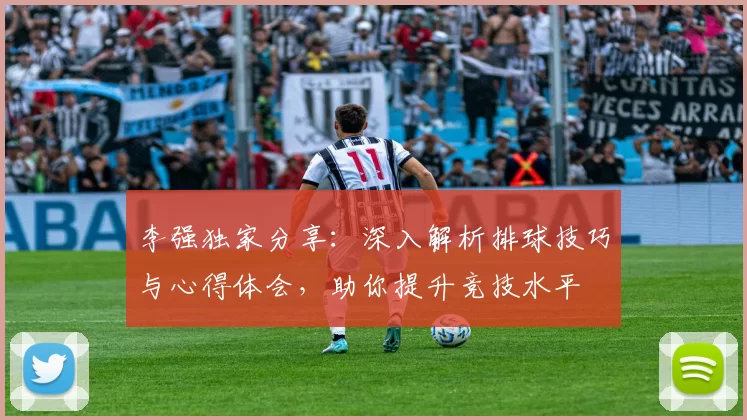 李强独家分享：深入解析排球技巧与心得体会，助你提升竞技水平