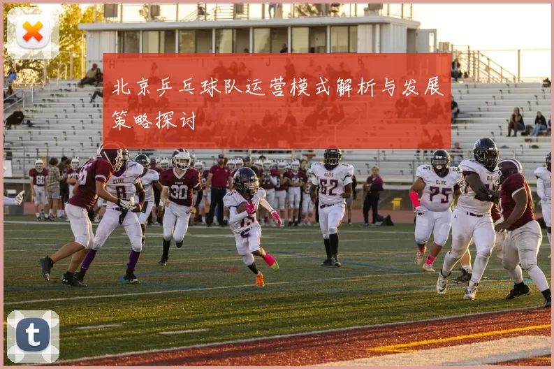 北京乒乓球队运营模式解析与发展策略探讨