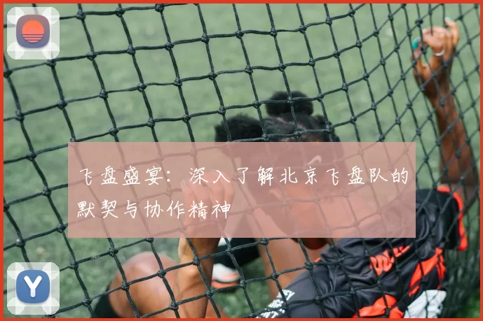 飞盘盛宴：深入了解北京飞盘队的默契与协作精神