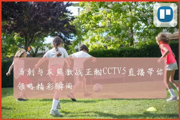 马刺与灰熊激战正酣CCTV5直播带你领略精彩瞬间