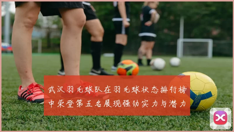 武汉羽毛球队在羽毛球状态排行榜中荣登第五名展现强劲实力与潜力
