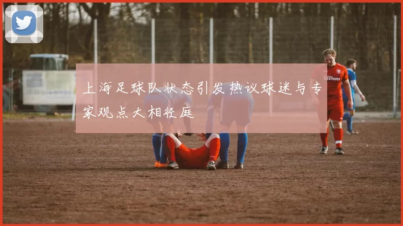 上海足球队状态引发热议球迷与专家观点大相径庭