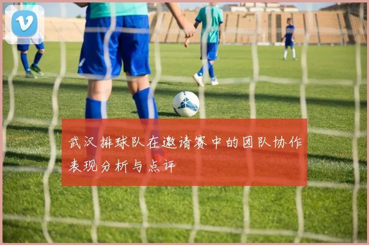 武汉排球队在邀请赛中的团队协作表现分析与点评