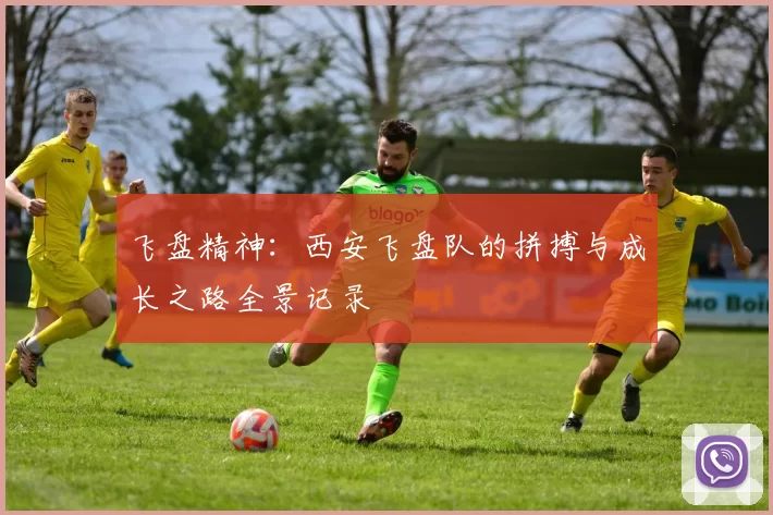 飞盘精神：西安飞盘队的拼搏与成长之路全景记录