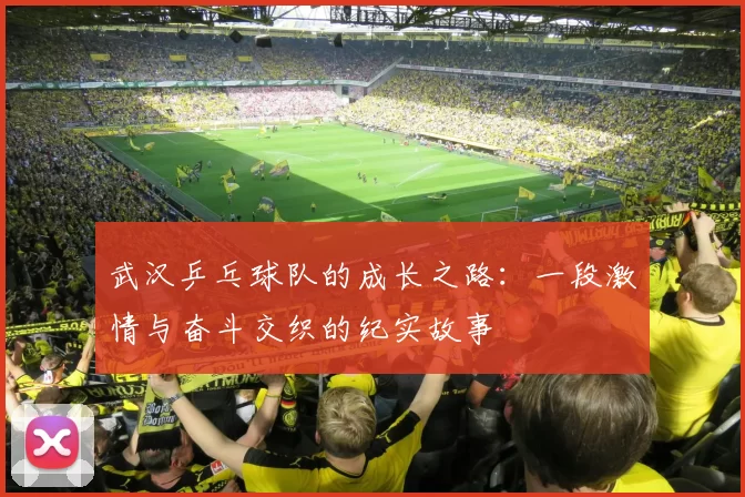武汉乒乓球队的成长之路：一段激情与奋斗交织的纪实故事