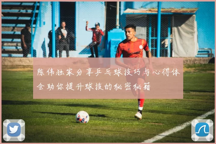 陈伟独家分享乒乓球技巧与心得体会助你提升球技的秘密秘籍