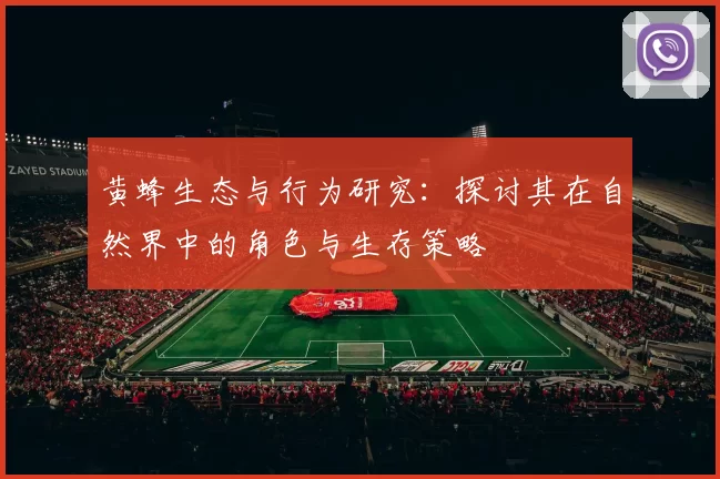 黄蜂生态与行为研究：探讨其在自然界中的角色与生存策略