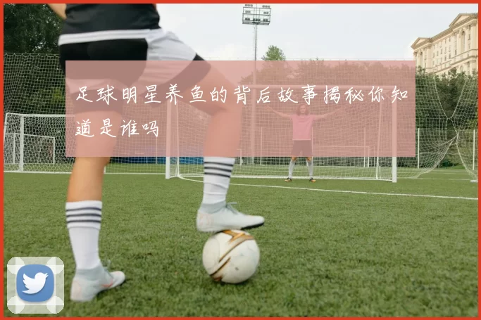足球明星养鱼的背后故事揭秘你知道是谁吗
