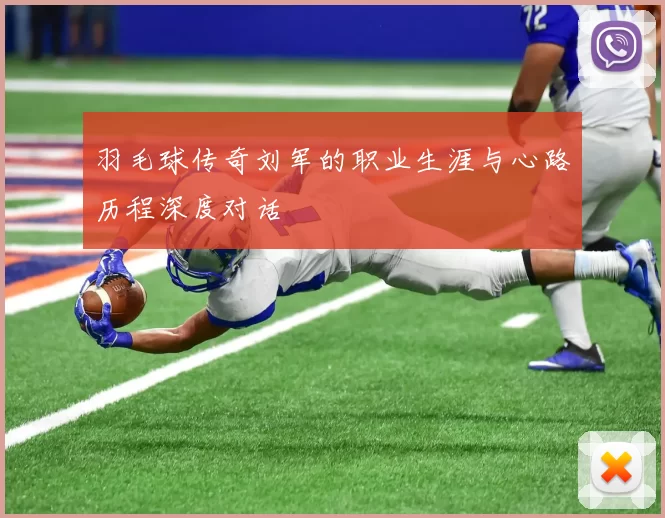 羽毛球传奇刘军的职业生涯与心路历程深度对话
