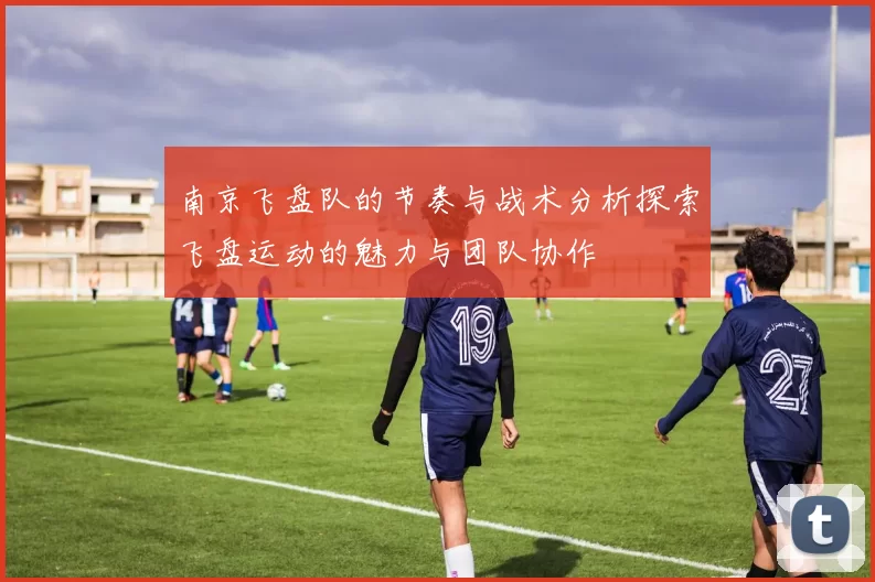 南京飞盘队的节奏与战术分析探索飞盘运动的魅力与团队协作
