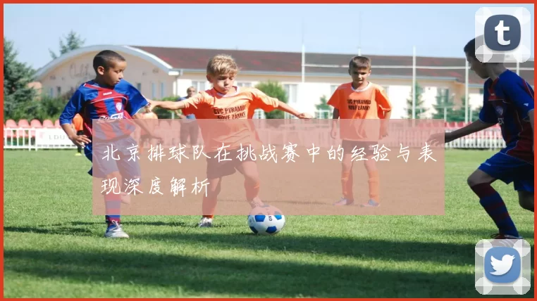 北京排球队在挑战赛中的经验与表现深度解析