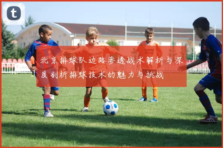 北京排球队边路渗透战术解析与深度剖析排球技术的魅力与挑战