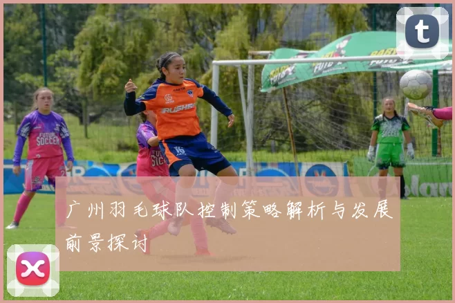 广州羽毛球队控制策略解析与发展前景探讨